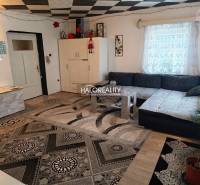 Interior of a family house with decorative paneling, a tiled stove, houseplants, and a patterned carpet.