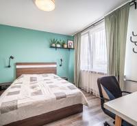 Bedroom in a 3-room apartment with a green wall, bed, and desk.