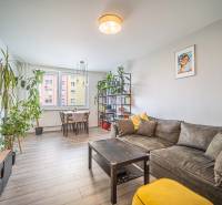 Bright living room in a 3-room apartment with plants, a sofa, and a dining area.