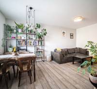 Living room of a three-room apartment with a sofa, dining table, and many houseplants.