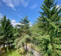 Greenery and trees around a 4-room apartment in Očová under a clear sky.