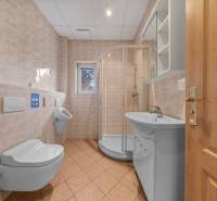 Bathroom in a family house with a toilet, shower, and sink.