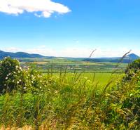 The landscape around Ražňany, agricultural and forest lands with blooming flowers and hills.