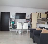 Living room in a 4-room apartment with a kitchenette and dining table.