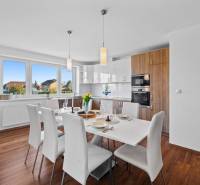 The kitchen on Pluhová Street, in a family house, contains white chairs, a wooden floor, large windows.