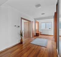 A hallway in a family house with a wooden floor, a mirror, and modern doors.