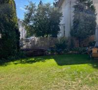 Garden with lawn and trees in the Dankovský area in Bratislava - Old Town.