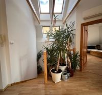 Interior of a 5 or more room apartment with plants and wood-patterned flooring.