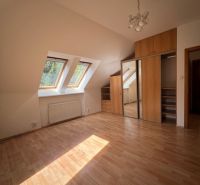 Attic room with wood-decor flooring and a built-in wardrobe, 5 or more bedroom apartment.