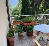 A balcony of a 5 or more room apartment with flower boxes and a wooden bench.