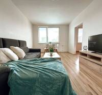 Living room in a three-room apartment, with a sofa and a television, light wooden floors.