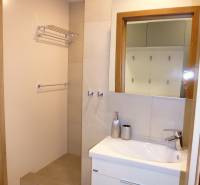 A bathroom in a 3-room apartment with a sink, a mirror, and a shower area.