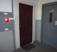 Hallway at the entrance of a 3-room apartment with an elevator and a hydrant.