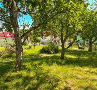 A garden with trees in the village of Mojš, with the roofs and fences of cottages visible behind them.