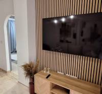 A stylish interior of a 3-room apartment with a TV on a wooden wall.