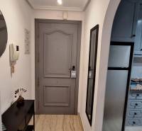 Entrance hall with gray doors and a kitchenette in a 3-room apartment.