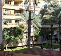 Apartment buildings surrounded by palm trees and greenery in Torrevieja and a 3-room apartment.