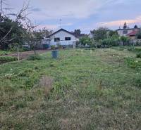 A plot with a garden, grass cover, fruit trees, and houses in the background.