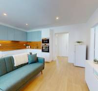 Interior of a 3-room apartment with a kitchen, sofa, and television in a pleasant environment.