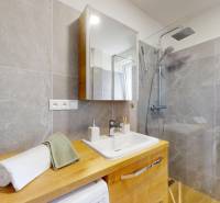 Bathroom with a shower, sink, and mirror in a 3-room apartment.