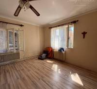 A room in a family house with a wooden floor, a fan, and large windows.