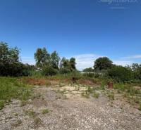 A vacant plot with vegetation in Kolárovo on Sládkovičova Street, suitable for a family house.