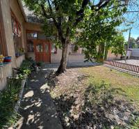 A family house on Sládkovičova Street in Kolárovo with a garden and a tree in front of the house.