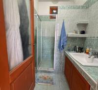 A bathroom in a family house with a sink, a shower, and green tiles.