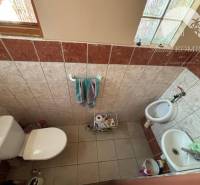 Bathroom in a family house with a toilet and a sink.