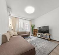 Living room in a two-room apartment with a sofa, television, and shelf.