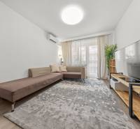 Living room in a 2-room apartment with a large sofa, television, and a plant.