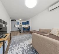 Living room with a kitchen in a 2-room apartment, with a comfortable sofa and a television.