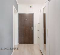 Entrance hallway in a 2-room apartment with a white wardrobe and dark doors.