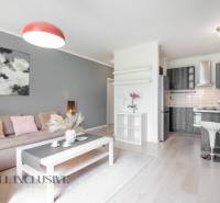 Living room with kitchen in a 2-room apartment, light wooden floors, gray furniture.