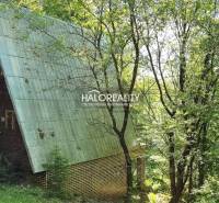 A cottage in Kokava nad Rimavicou with a slanted roof surrounded by dense vegetation and trees.