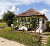 A cottage in Bátorove Kosihy surrounded by vineyards and grassy land, stairs lead to the entrance.