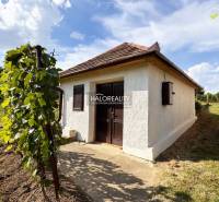 A cottage in Bátorove Kosihy with a pale facade and vines on a sunny plot.