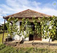 In Bátorove Kosihy, there is a cottage with grapevines, a brick roof, and a green garden.