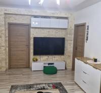 Living room with decorative stone, wooden doors and furniture, 3-room apartment.