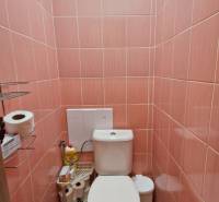 A toilet with pink tiles located in a 3-room apartment.