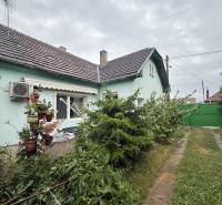 The garden of a family house in Ludanice with cultivated plants, a tree, and a green hedge.