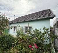 A family house in Ludanice surrounded by flowers and green shrubs in the garden.