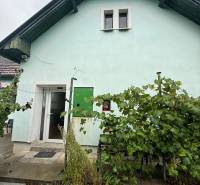 A family house in Ludanice with a green facade and a garden with grapevines.