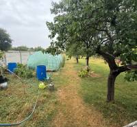 The garden of a family house in Ludanice with a greenhouse, trees, and gardening tools.