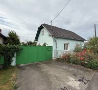 A family house in Ludanice, a green gate, blooming shrubs, and an asphalt road.