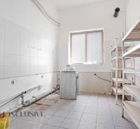 A space with washable walls, shelves, and neglected equipment in commercial premises.