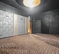 Commercial space with dark walls, patterned carpet, and a large light on the ceiling.