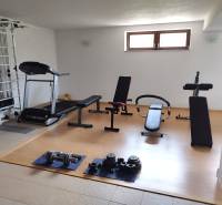 Home gym in a family house with dumbbells, a treadmill, and workout benches.