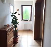 A hallway in a family house with a plant, a drawer cabinet, and a window with a view.