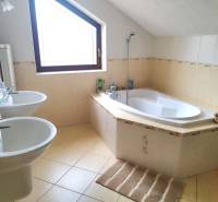 A bathroom in a family house with a shower, a bathtub, and a double sink.